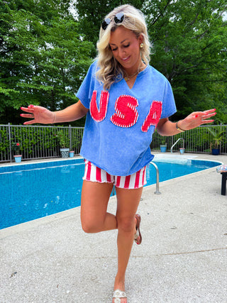 Mineral Washed Usa Patched Knit Top (BLUE)