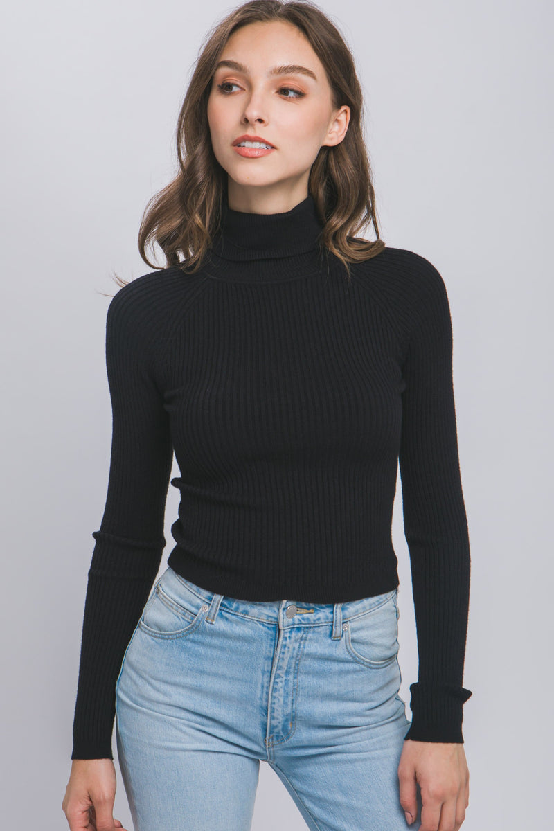 Turtleneck Ribbed Knit Sweater Top (BLACK)