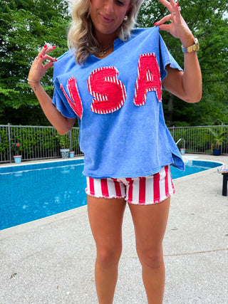 Mineral Washed Usa Patched Knit Top (BLUE)