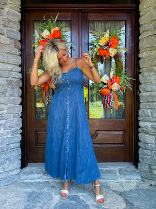 ANGEL EYES DENIM MIDI DRESS - Z SUPPLY