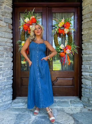 ANGEL EYES DENIM MIDI DRESS - Z SUPPLY