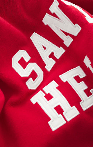 FESTIVE HOLIDAY SWEATSHIRT - Z SUPPLY