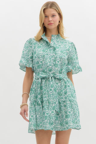 (LARGEThe Mint Manor Dress