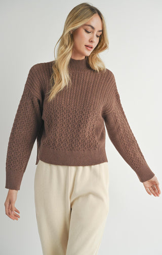 LISS TURTLENECK (BROWN) SWEATER